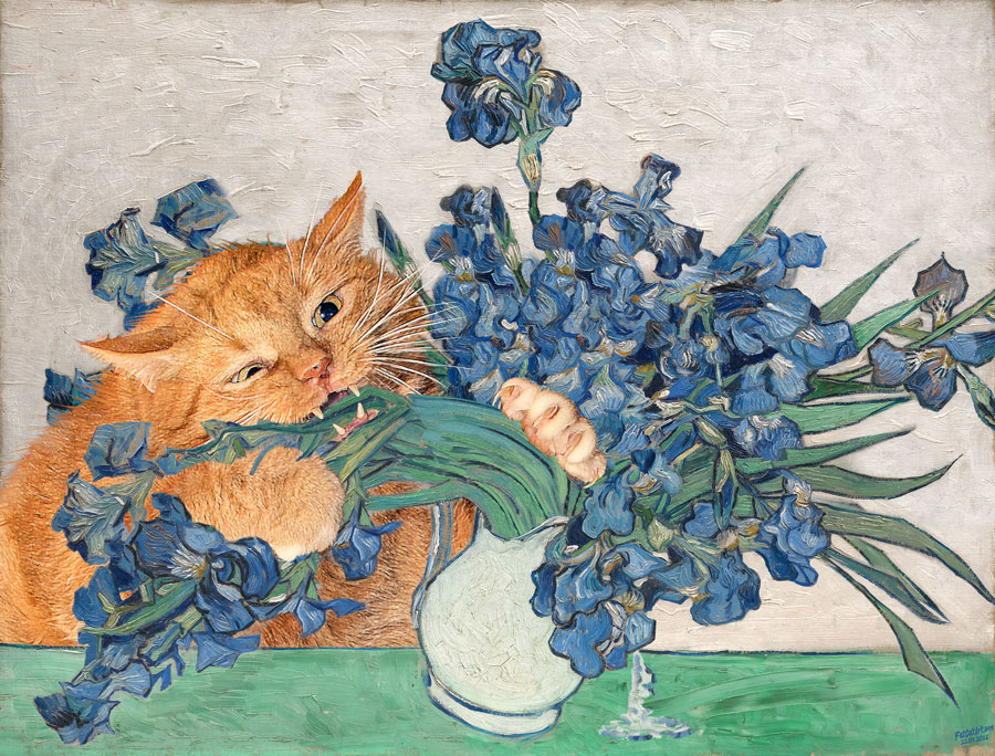 Vincent van Gogh. Irises and the Cat