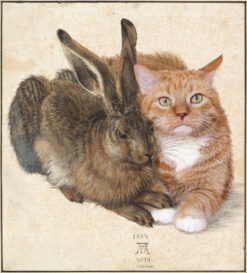 Albrecht Dürer, Hare and Cat canvas print