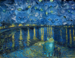 Vincent van Gogh. The Furry Starry Night over the Rhone