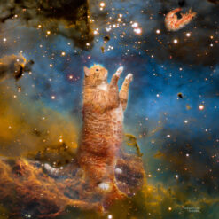 The Celestial Cat hunts a Space Shrimp as the Pillars of Creation