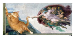 Michelangelo. The Creation of cAt-dam